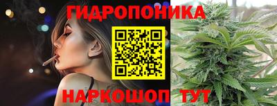 гидра Рязань