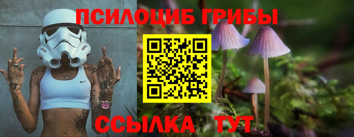 Аргун  Псилоцибиновые грибы ЛСД  Вход с VPN 