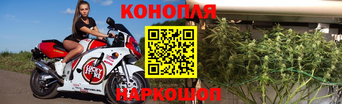 Аргун  Конопля индика  Каннабис THC 21%  Вход с VPN 